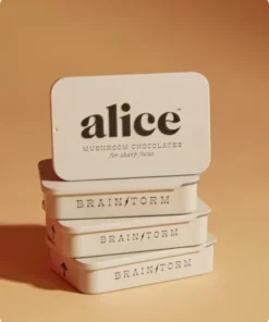 Alice Mushroom Chocolates