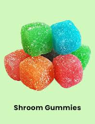 Shroom Bars Online Shop