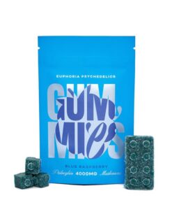 Euphoria Psychedelics – Blue Raspberry Gummies