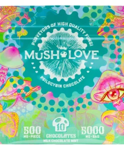 Mush Love – Mint Mushroom Chocolates